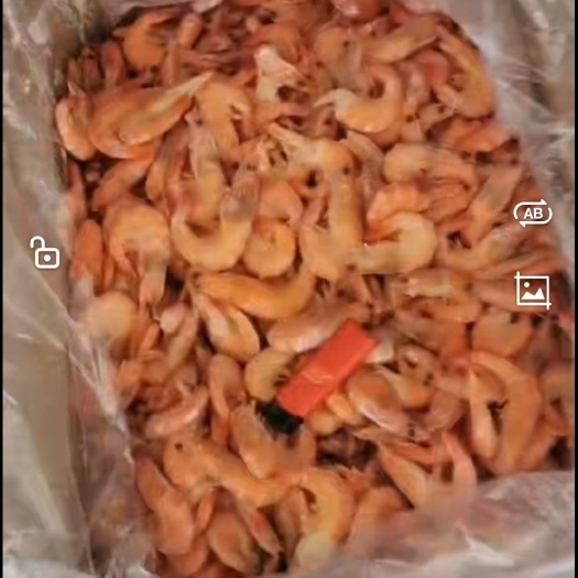 郑州单冻熟虾