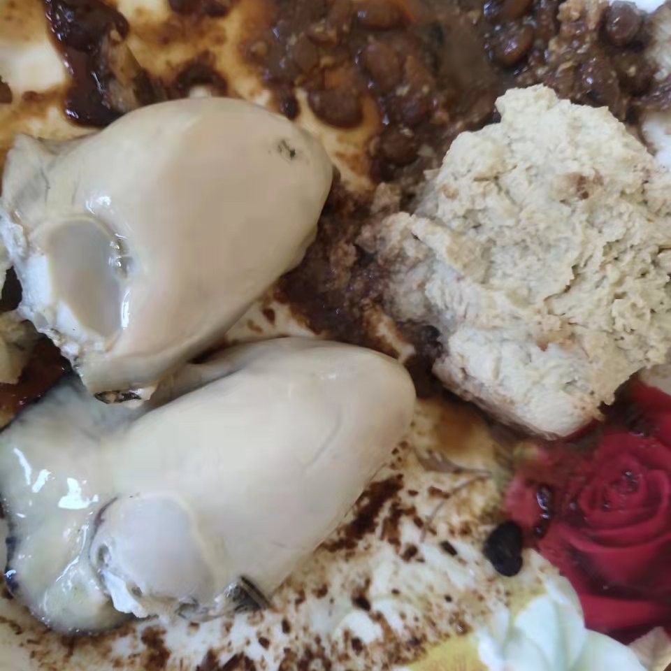 三倍体生蚝 纯度高 口紧 外壳干净