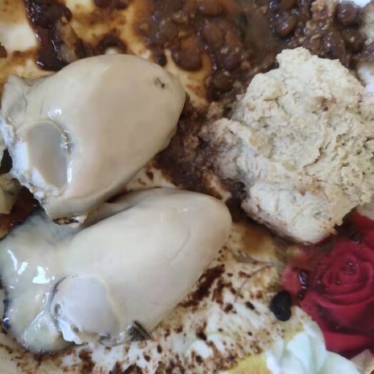 昌黎县三倍体生蚝 纯度高 口紧 外壳干净