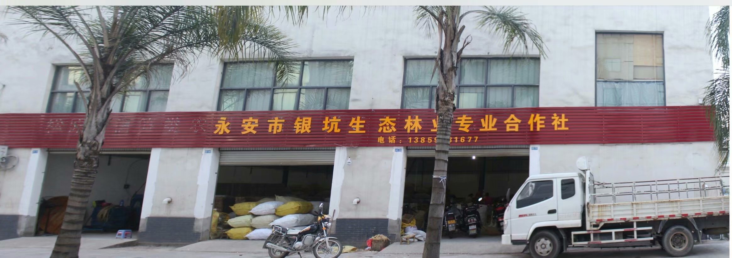 永安市銀坑生態(tài)林業(yè)專業(yè)合作社