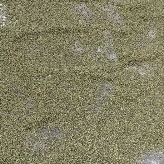 雷波县干青花椒