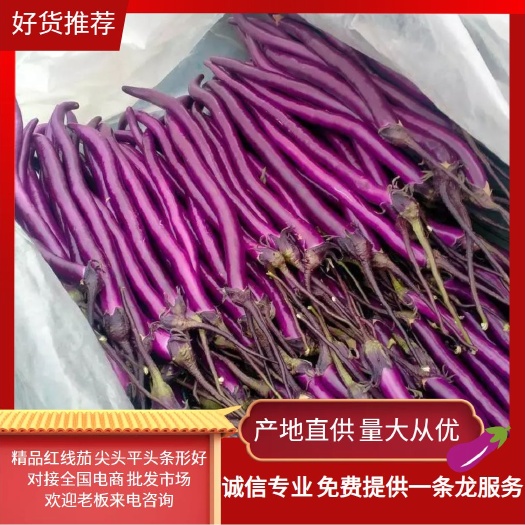 精品紅線茄，尖頭，平頭，條形好，光澤好，量大質(zhì)優(yōu)