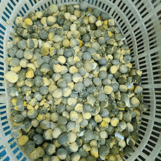 汤阴县食品厂出售熟鸡蛋黄