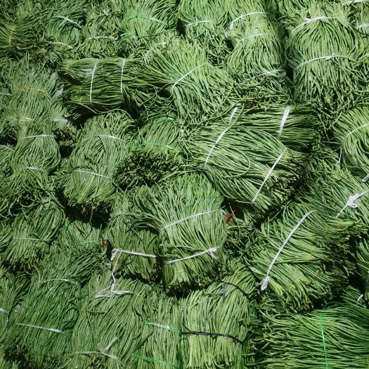 保山腌制泡豇豆