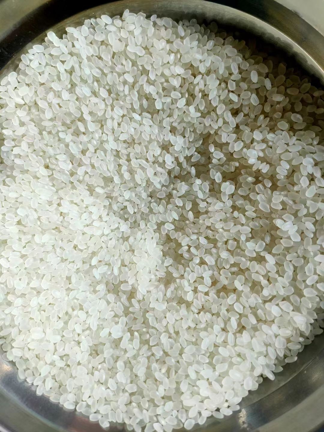大米，河南范县无公害黄河大米，优质价廉