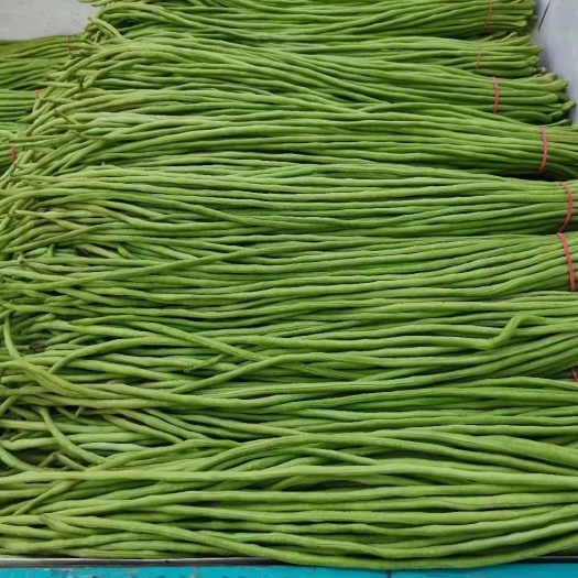 柳州豆角