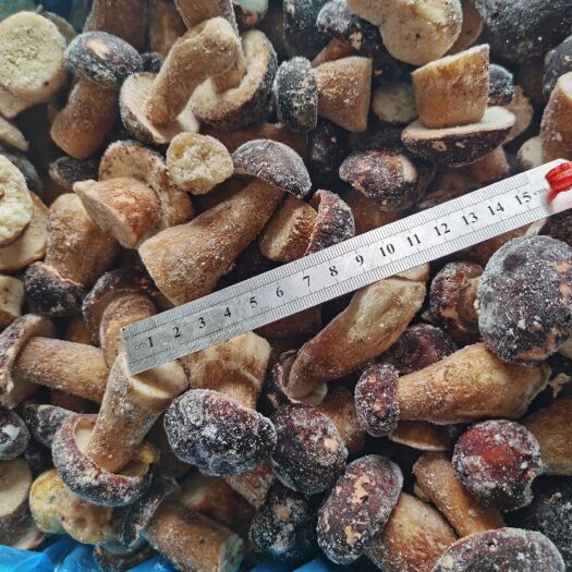 宽甸县美味牛肝菌   速冻牛肝菌，按出口级分类，分为ABC三级以及