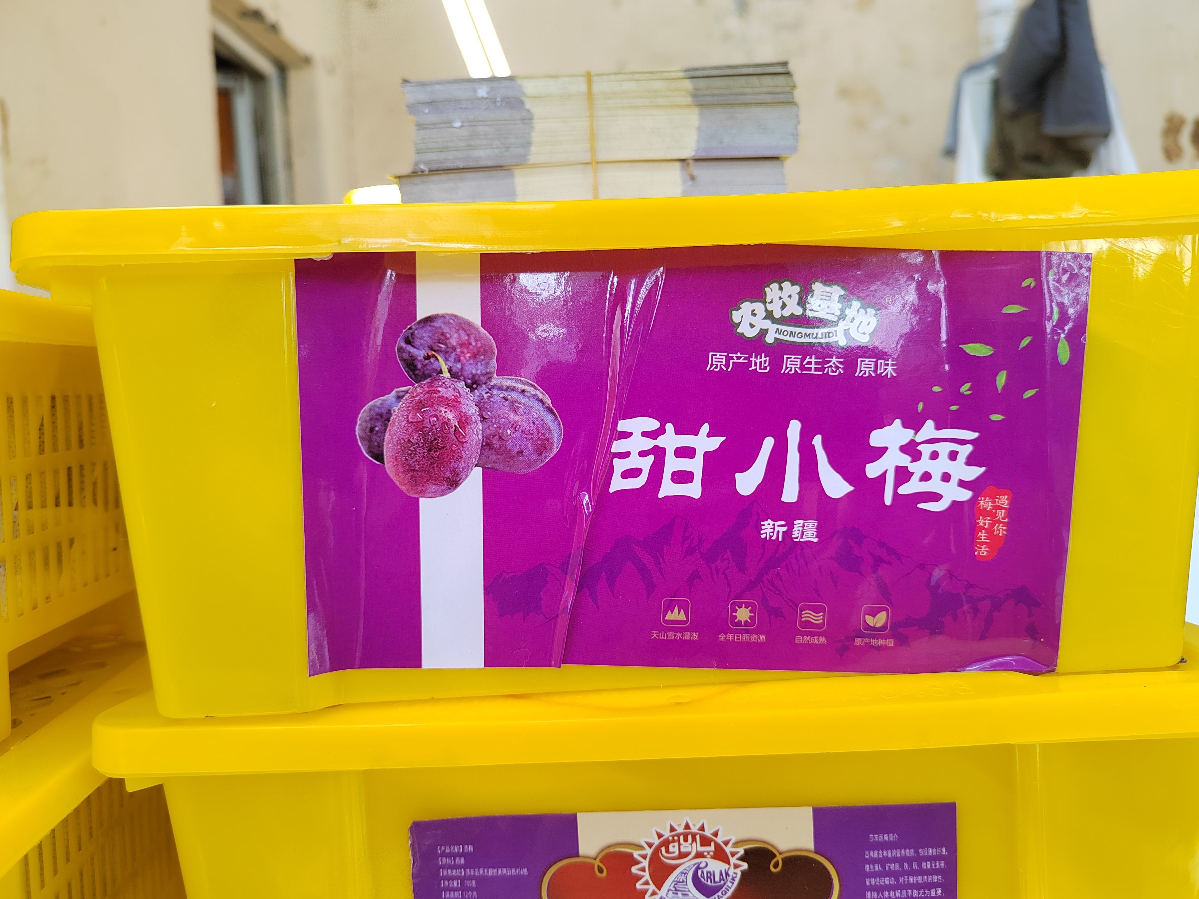 新疆伽师西梅