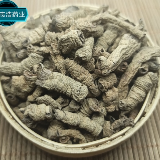 鄄城县巴吉肉 欢迎选购 各种中药材养生花茶批发 地道药材