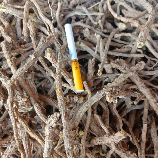 夏县去头统货干黄芩