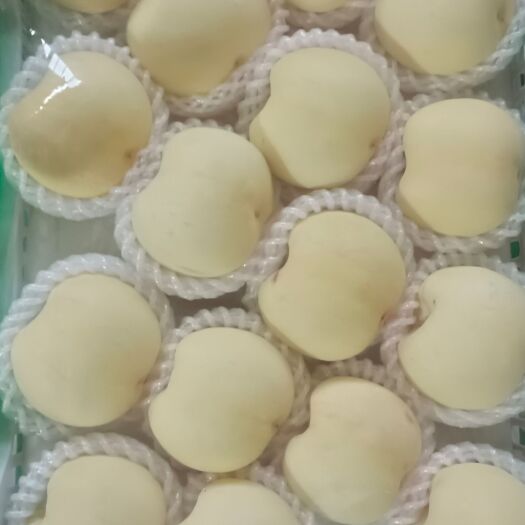 蒙阴县白桃