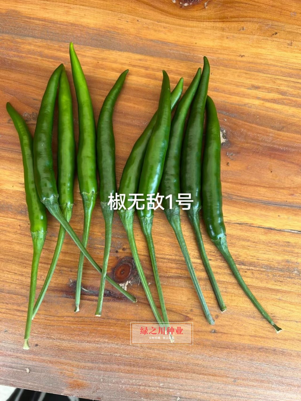 富乔农业1号朝天椒种子泰国引进新品种 把长椒长朝天椒种籽