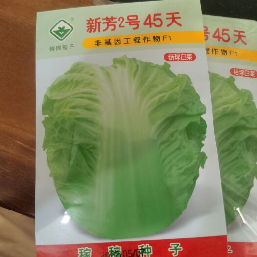 南靖县新芳2号45天结球白菜，可密植，叶色浅绿，无绒毛，生长期短。