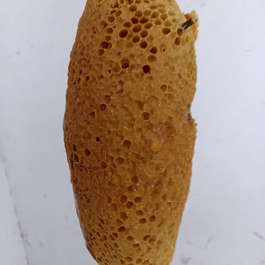 崇左中华小挂蜜