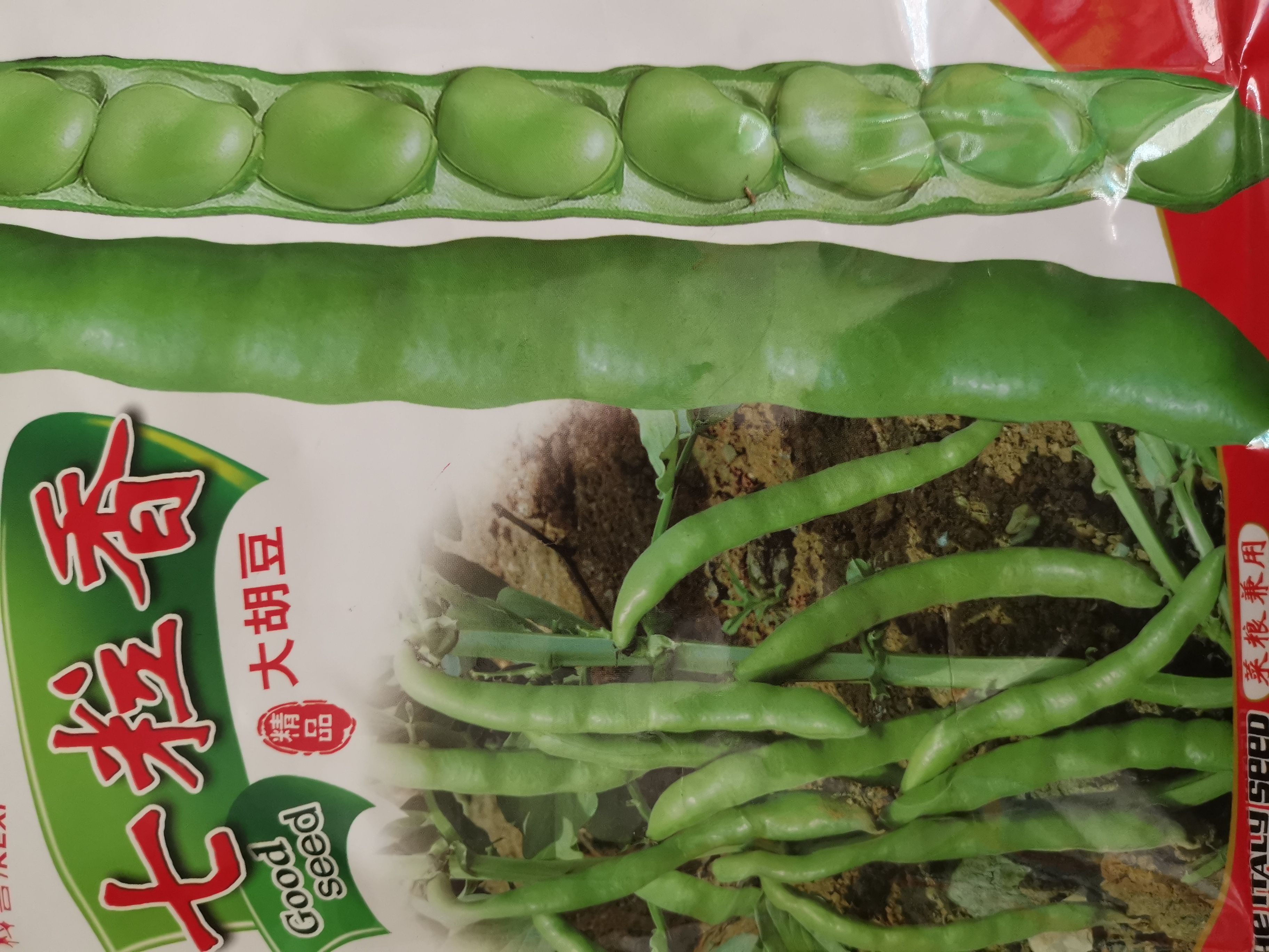 胡豆