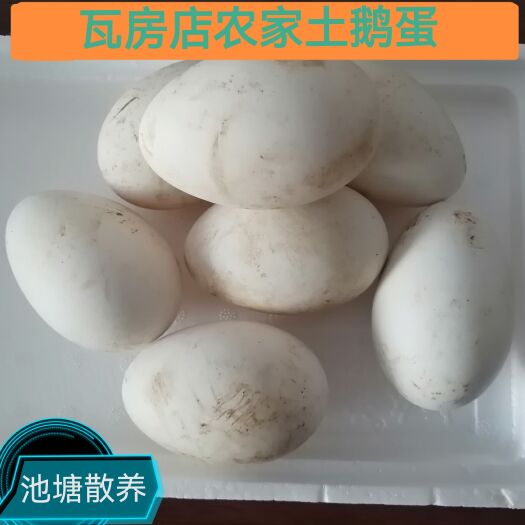 瓦房店市大连瓦房店市农村土鹅蛋