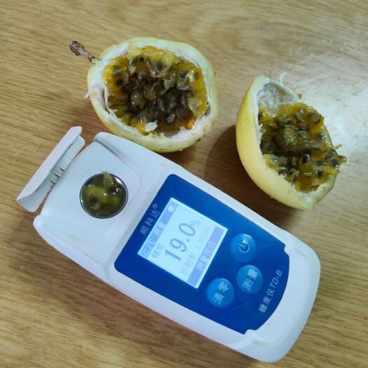遂溪县钦蜜9号，钦蜜百香果