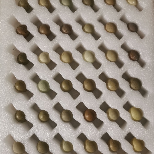 灌南县芦丁鸡种蛋德系国产混发