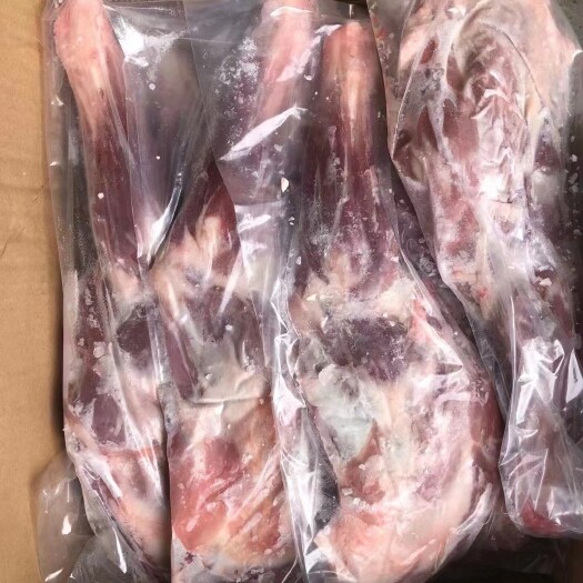 济南羊腿肉  国产羊腿，烧烤专用羊腿，羊前腿，一条羊腿三斤左右