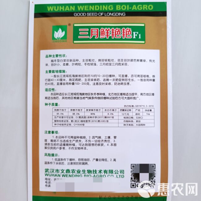 大田种植三月抽苔文鼎三月鲜艳艳F 1越冬型白菜苔种子嫩绿苔粗