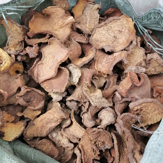 双江县地不容干片