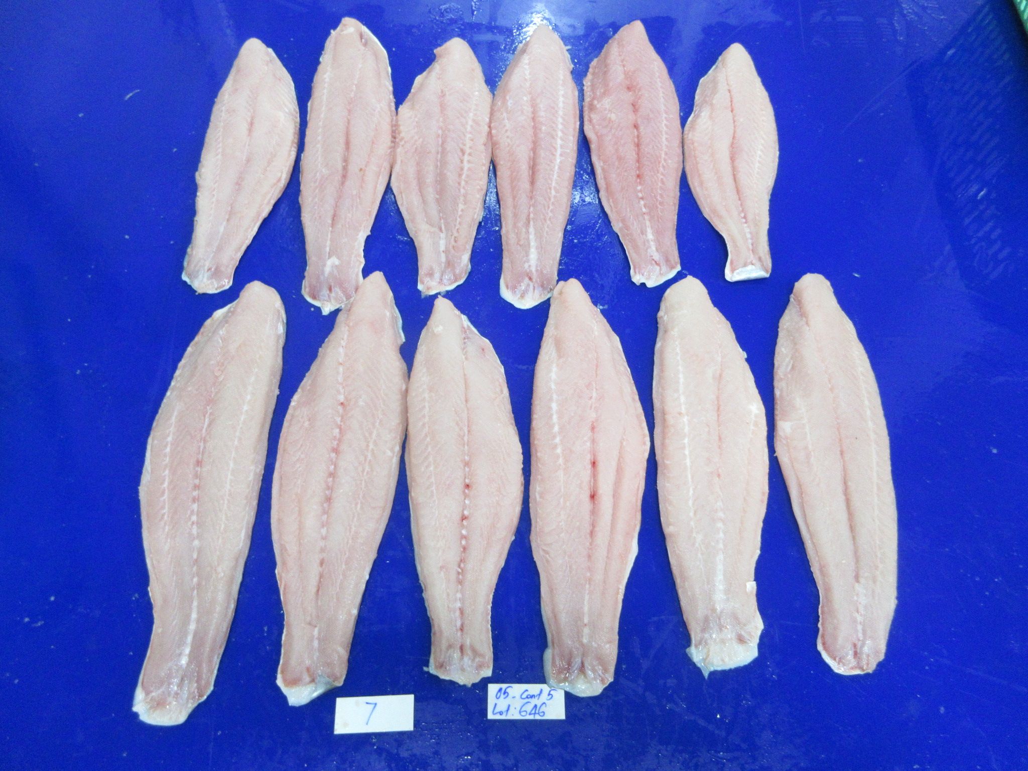 巴沙鱼原料、板冻原料、不泡药原料、去皮原料、带皮原料