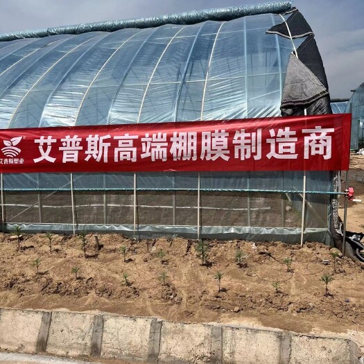 阳谷县艾普斯精品po膜