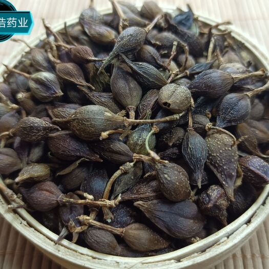 鄄城县连翘 新货 欢迎选购 各种中药材养生花茶批发 地道药材