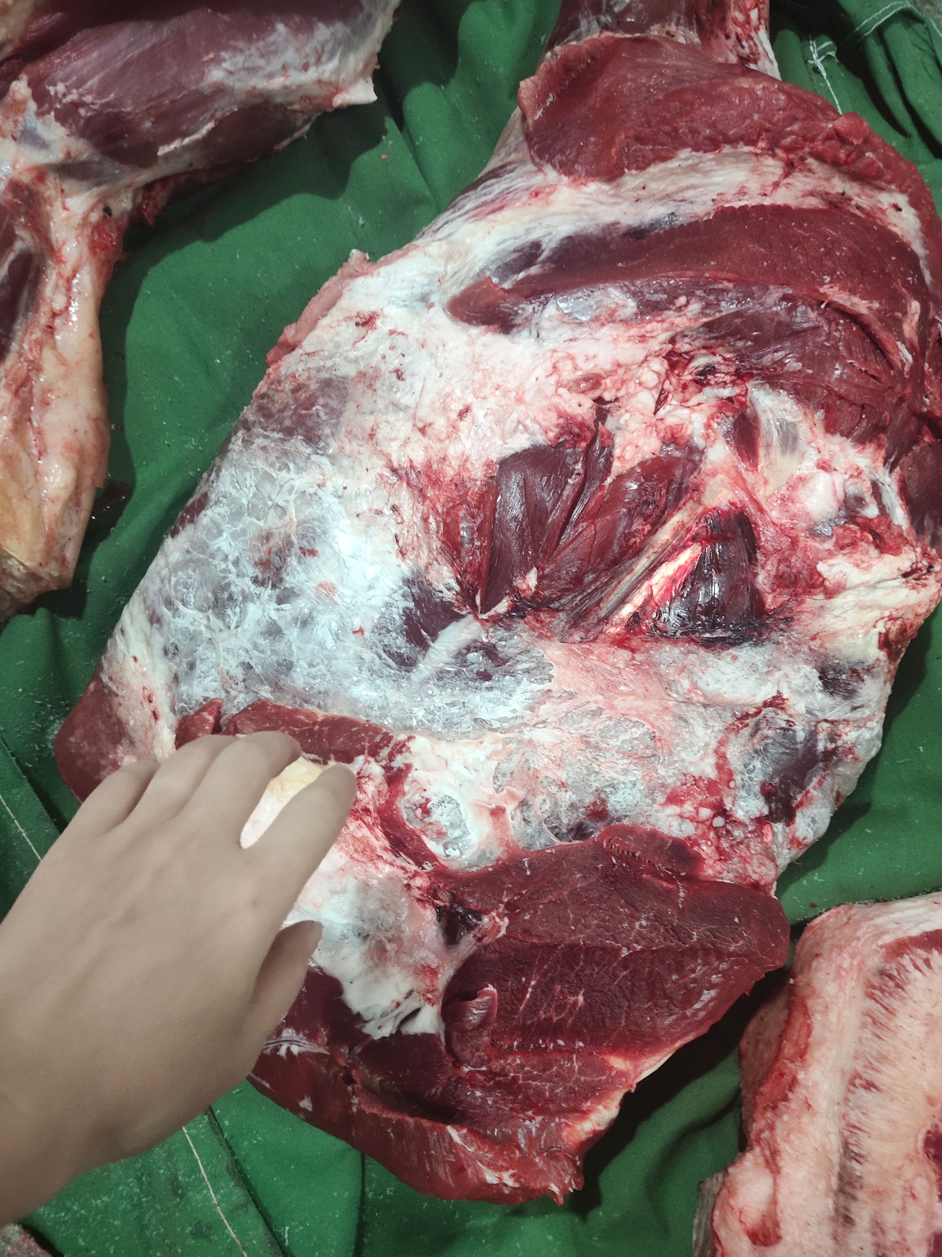 分割牛肉