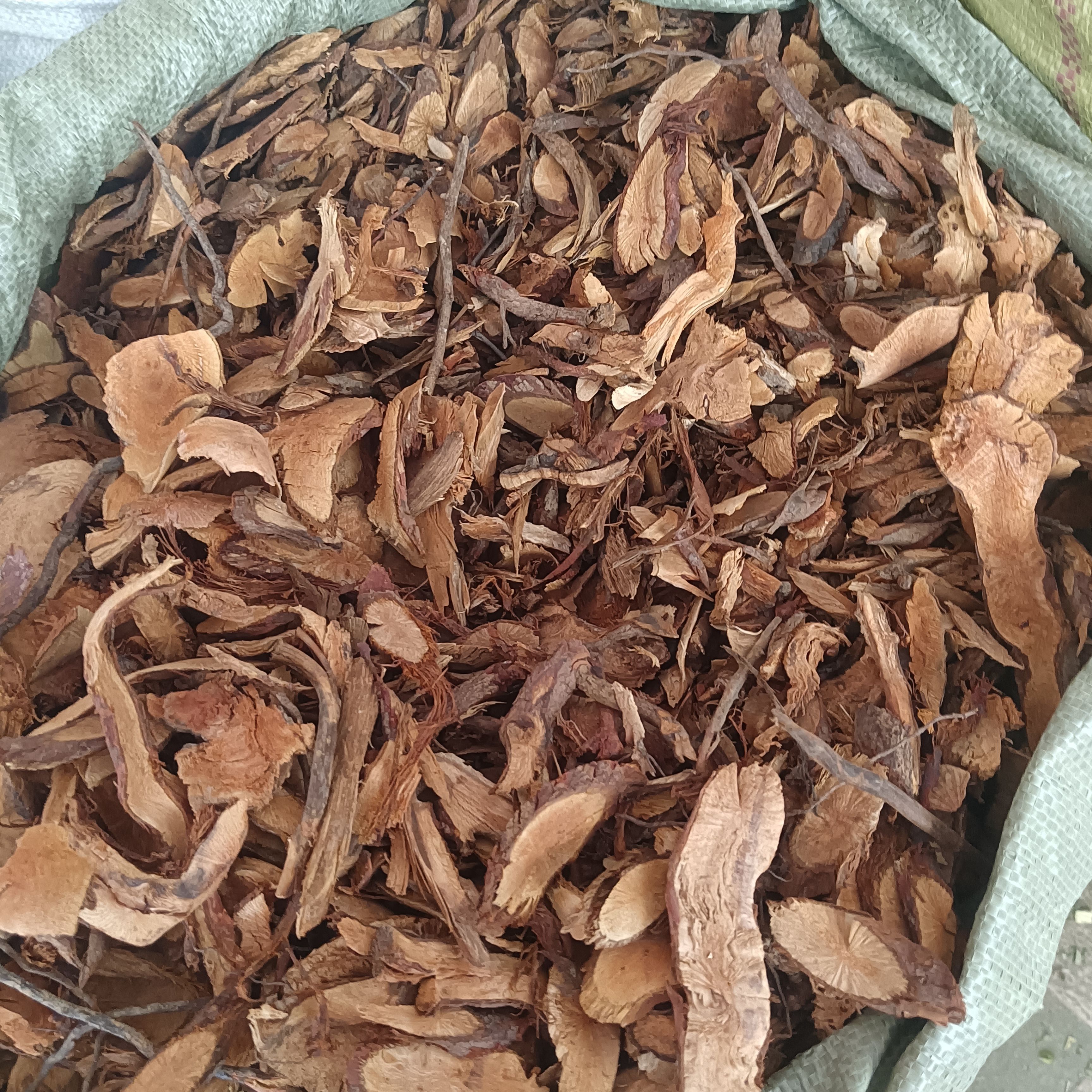 统货金樱根别名脱骨丹金英根量大从优干货