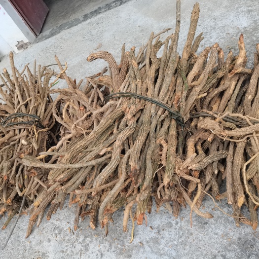榕江县养殖场必备药材，断肠草，又叫大茶藤