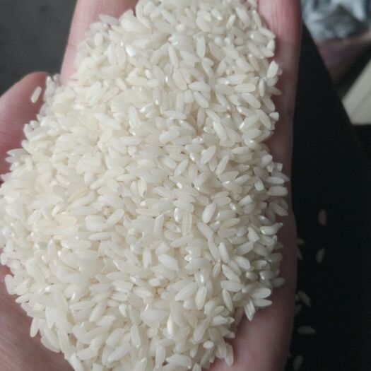 广州印度小白米粉米
