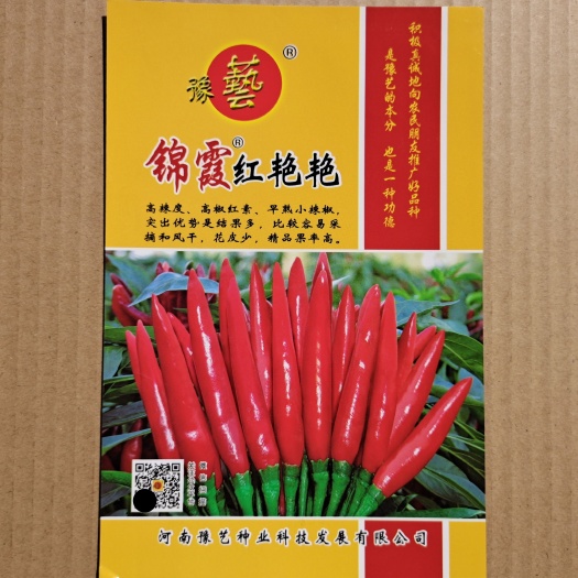 扶沟县锦霞红艳艳朝天椒种子早熟小辣椒种子高辣产量高椒价高