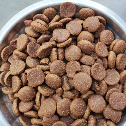 郑州菜狗犬粮