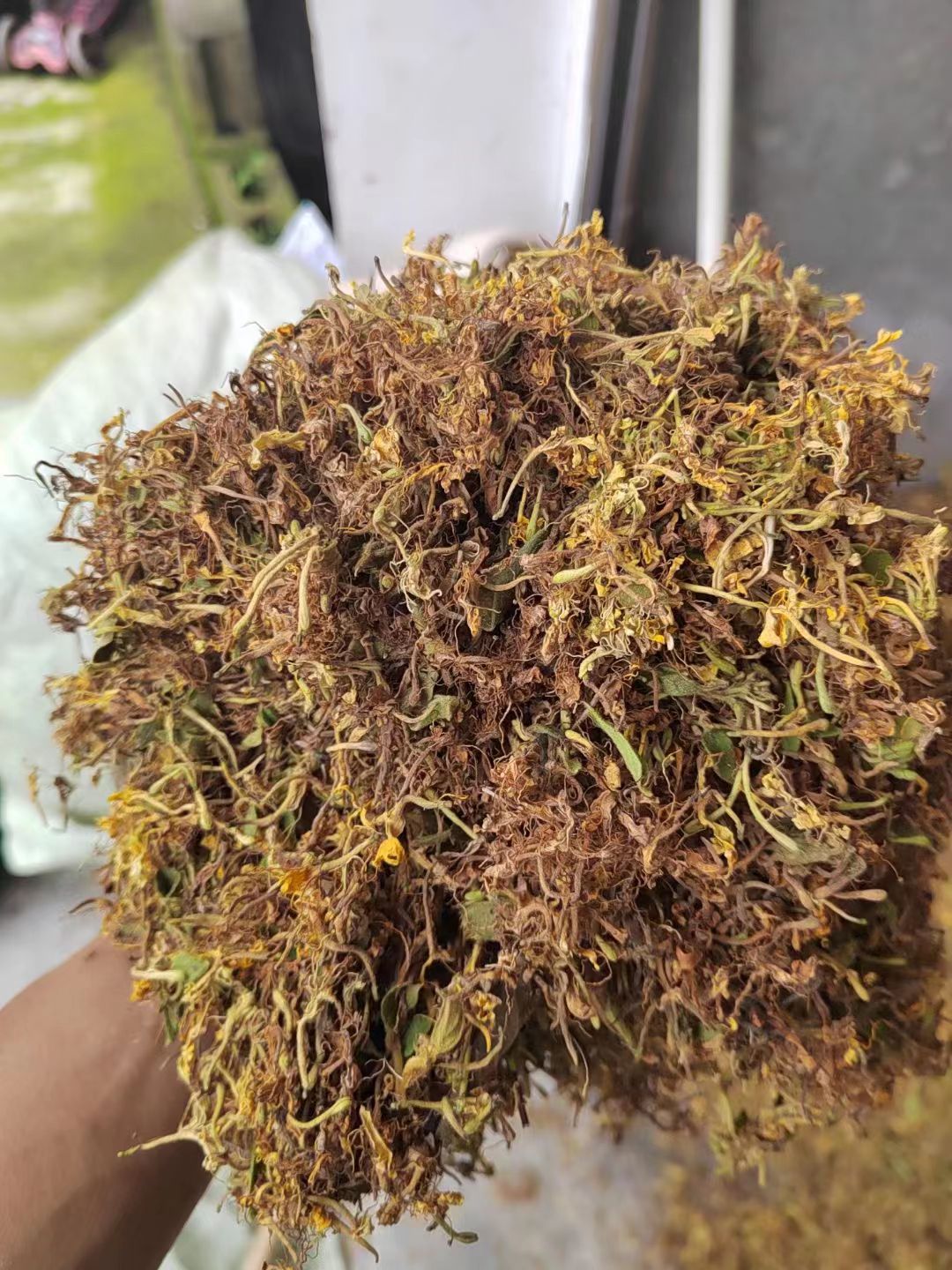 天然金银花，太阳晒干， 干透无霉无硫 叶子枝头少 香味浓郁