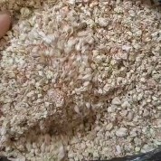 西华县玉米芯颗粒