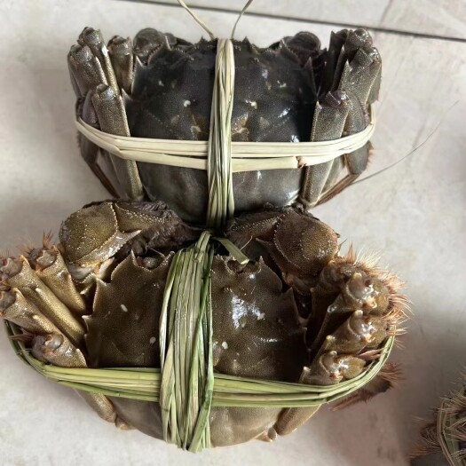咸阳大闸蟹