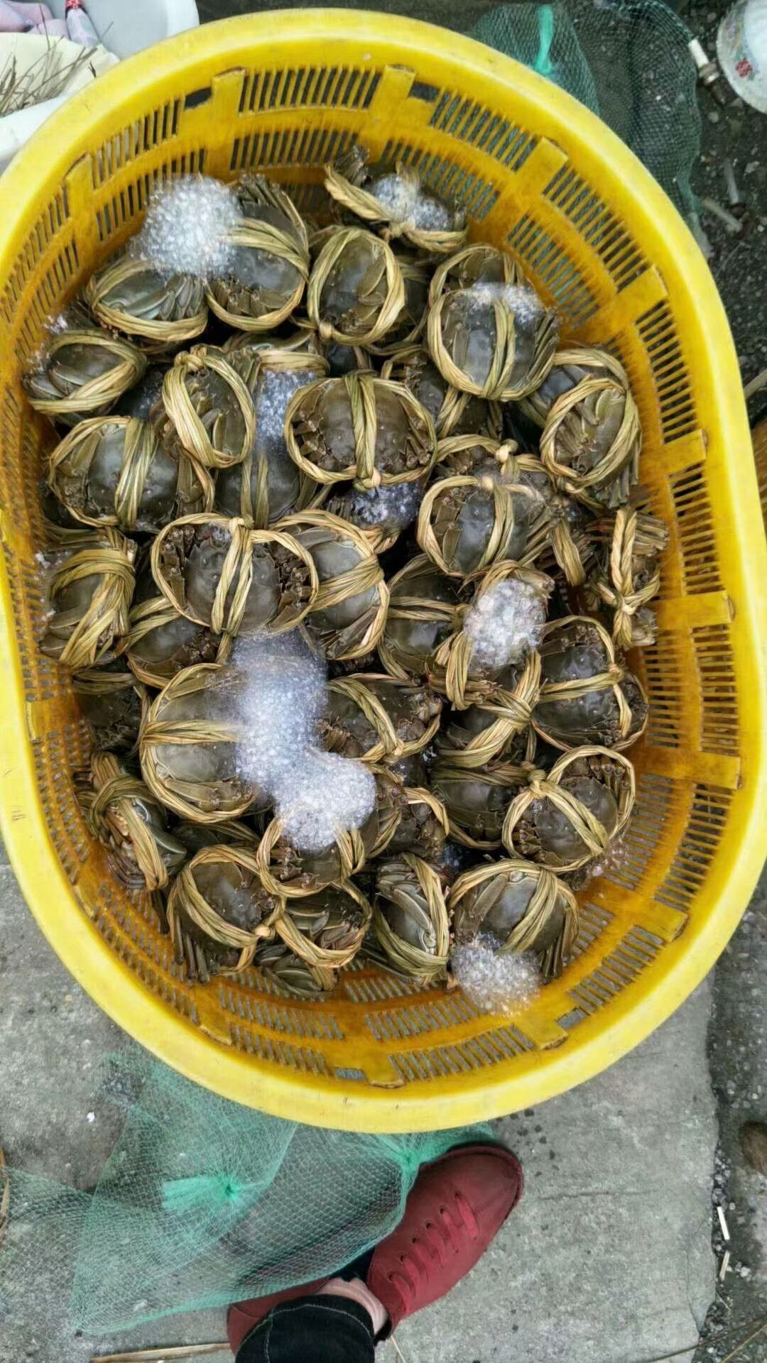 大闸蟹