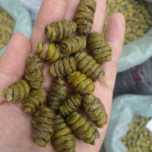 昆明铁皮石斛精选枫斗