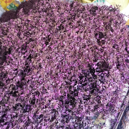 宝兴县风柜斗草（红，干货，一斤）