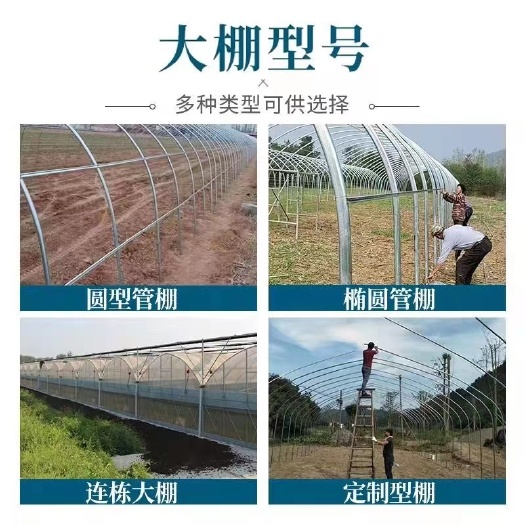 南京专业设计制造葡萄遮雨棚等各种温室大棚免费规划场地免费设计棚型