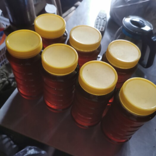 谷城县一年只割一次的土蜂蜜