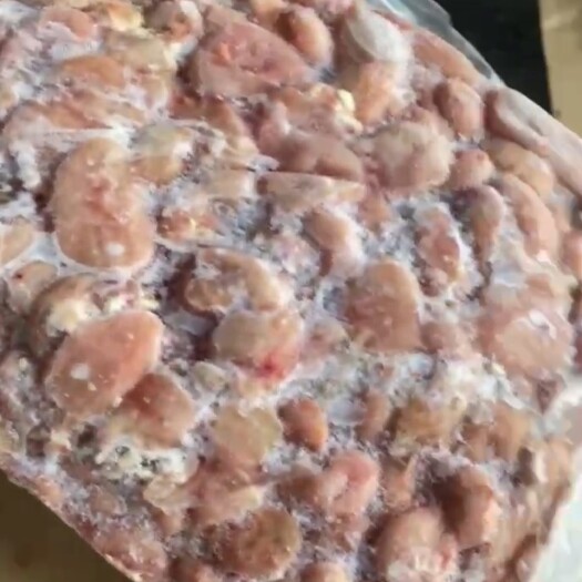 沂南县猪小肚 一板200个  中猪