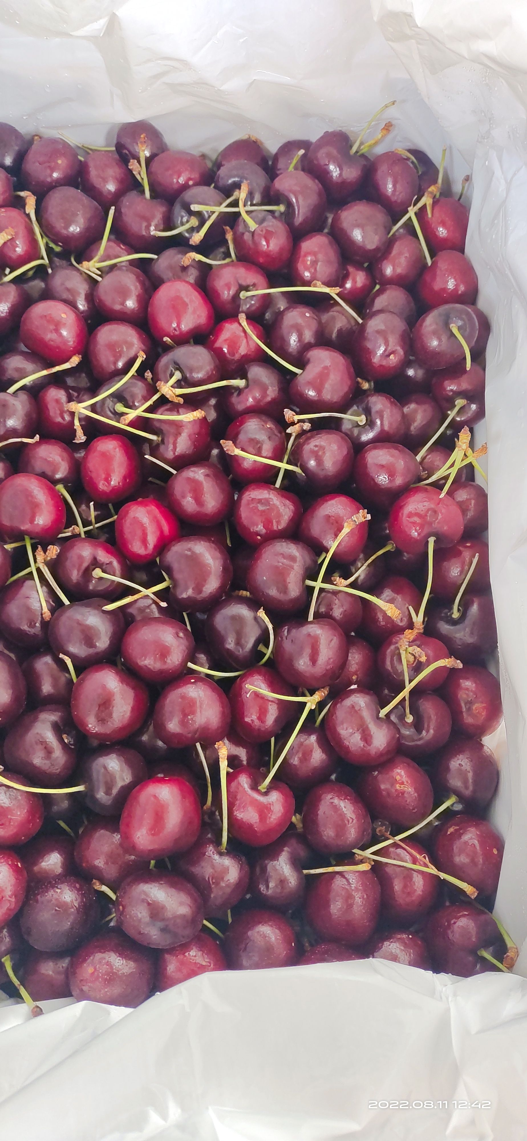车厘子货源充足现货秒发非常脆甜多汁规格齐全价优货好包邮包售后