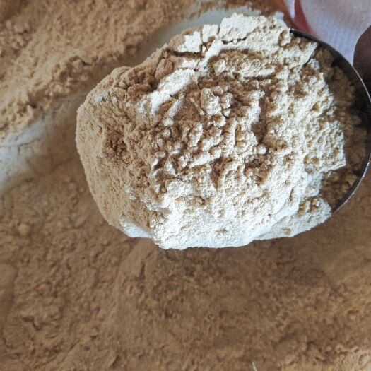 灵寿县玉米次粉  玉米粉 饲料原料