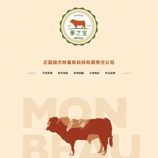 正蓝旗千头利木赞牛公母牛犊牛架子牛待售