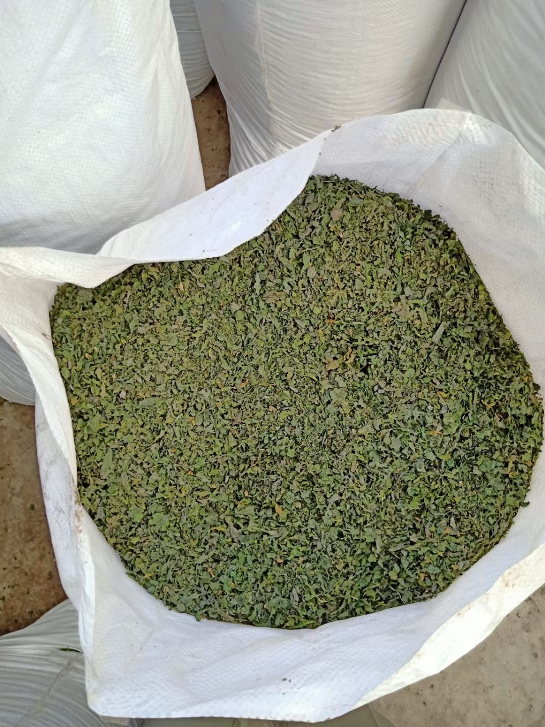 宠物饲料 猫粮狗粮宠粮用海藻粉片状海苔粉