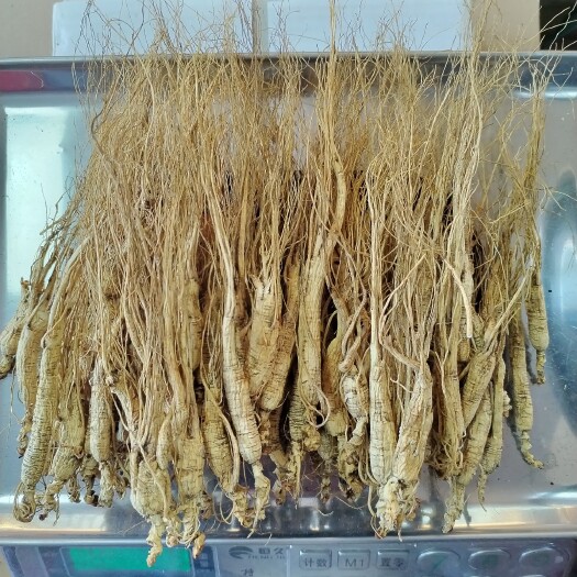 10-12年林下参山参吃货，适合自家磨粉，经济实惠