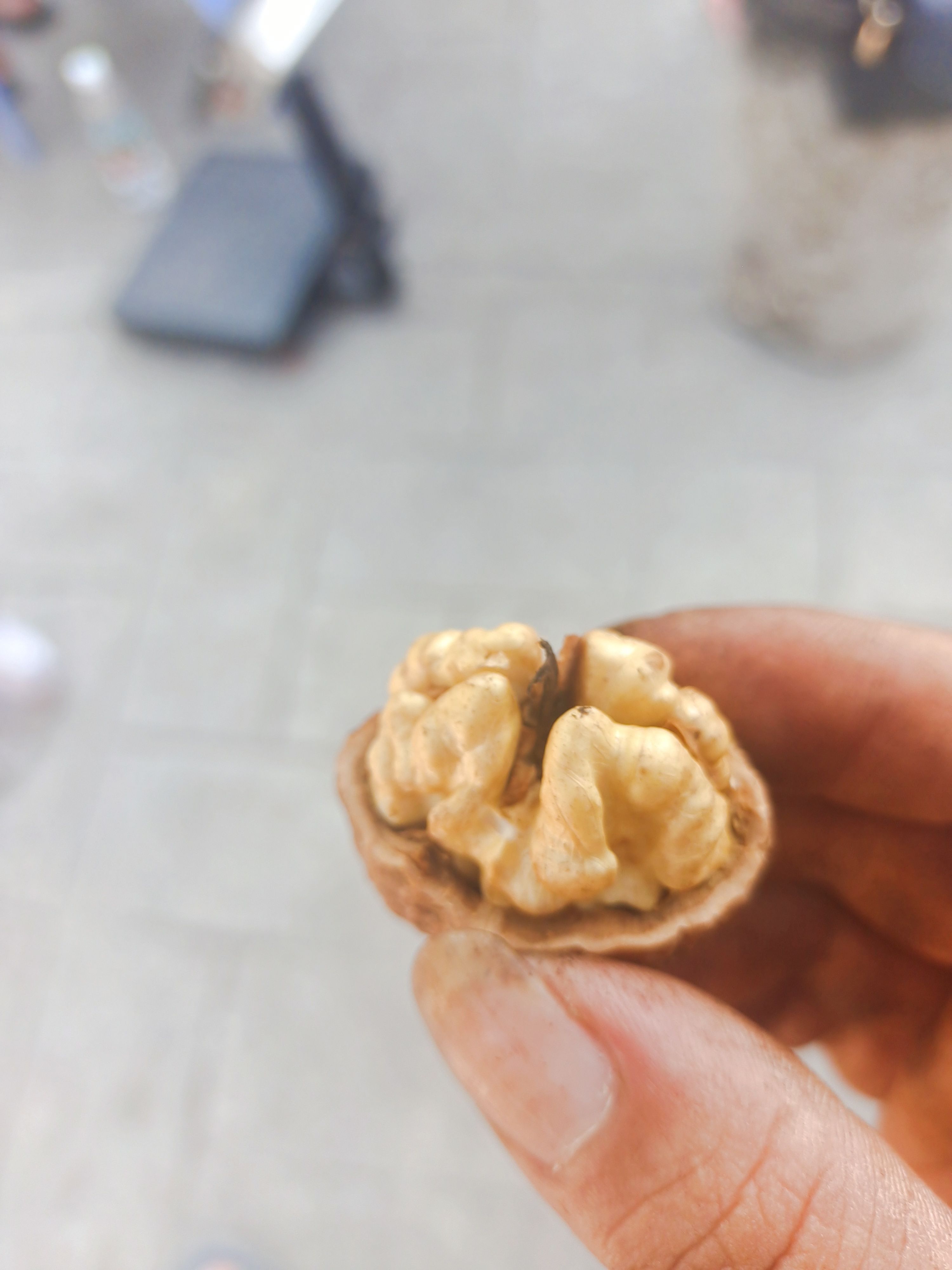 雷波核桃