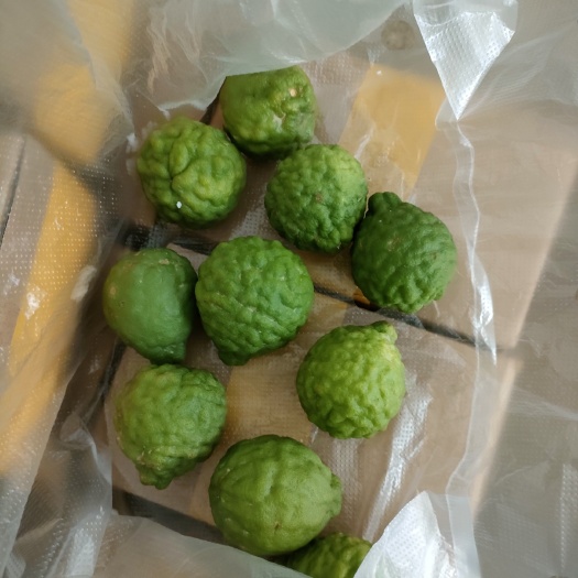 泰国品种皱皮柠檬丑皮柠檬马里橙